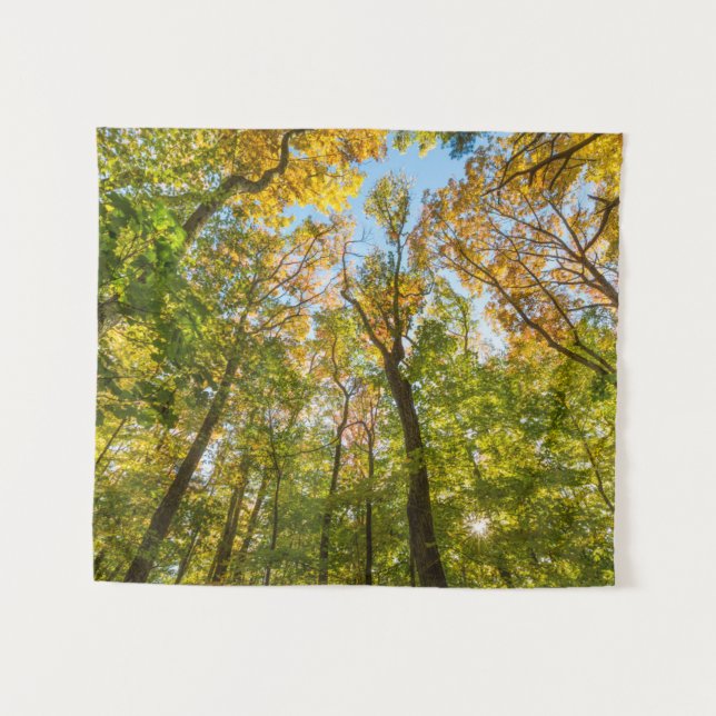 Fall in a Forest in Amesbury, Massachusetts Tapestry (Front (Horizontal))