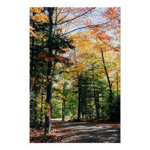 Fall in Algonquin Park, Canada Poster