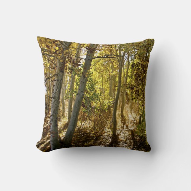 Fall in an aspen trees forest - fine art on canvas cushion (Front)