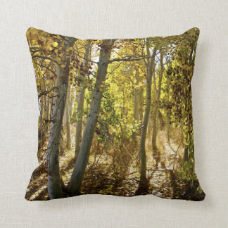 Fall in an aspen trees forest - fine art on canvas cushion