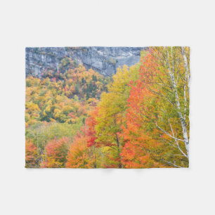 Fall in Grafton Notch State Park, Maine Fleece Blanket
