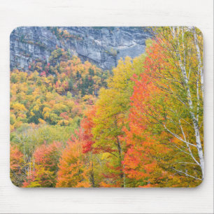 Fall in Grafton Notch State Park, Maine Mouse Pad