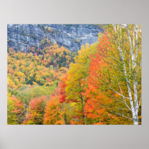 Fall in Grafton Notch State Park, Maine Poster