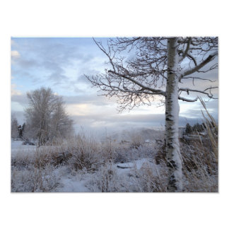 Fall in Jackson Hole, WY Photo Print