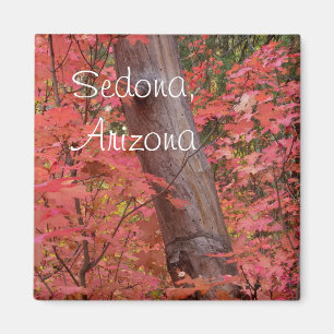 Fall in pink in Sedona, Arizona Magnet