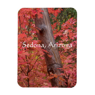 Fall in Pink, in Sedona, Arizona Magnet