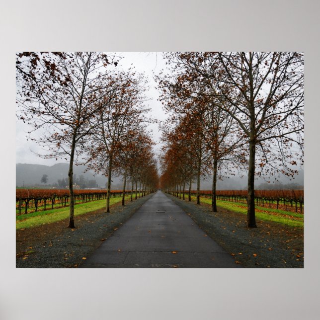 Fall in Saint Helena Poster (Front)