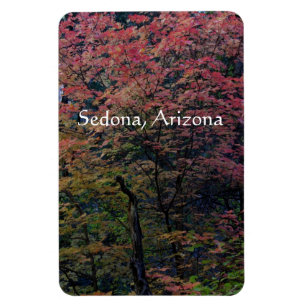 Fall in Sedona Magnet