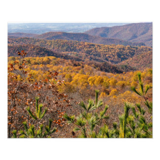 Fall in Shenandoah National Park Photo Print