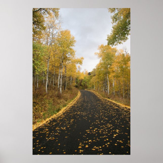 Fall in Sundance Resort, Utah Poster (Front)