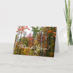 Fall in the Forest Colorful Autumn Photography Thank You Card