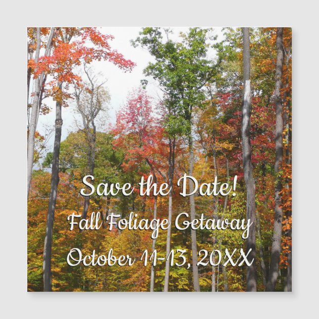 Fall in the Forest Colourful Autumn Photography (Front)