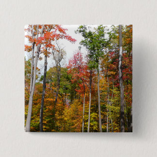 Fall in the Forest Colourful Autumn Photography 15 Cm Square Badge