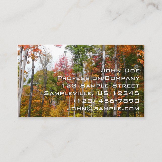 Fall in the Forest Colourful Autumn Photography Business Card (Front)