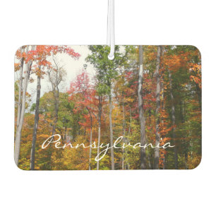 Fall in the Forest Colourful Autumn Photography Car Air Freshener