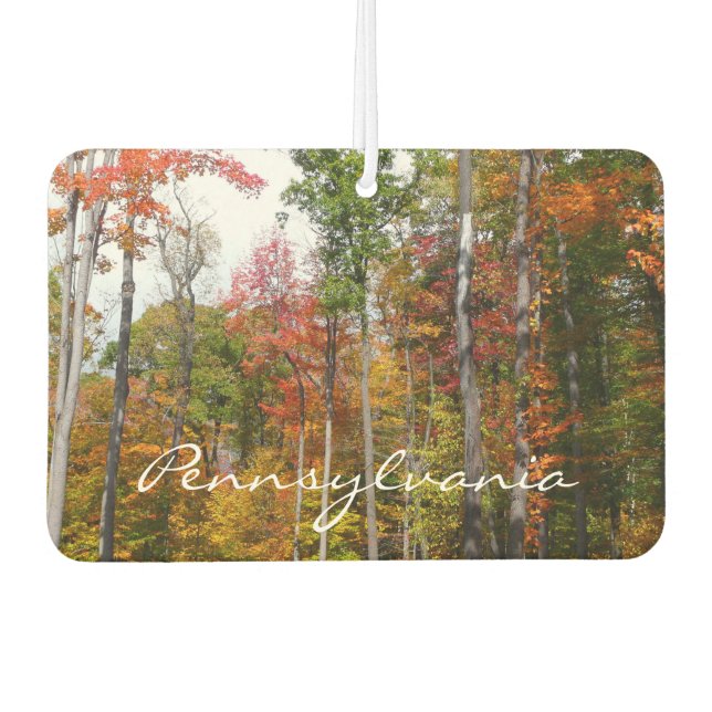 Fall in the Forest Colourful Autumn Photography Car Air Freshener (Front)