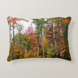 Fall in the Forest Colourful Autumn Photography Decorative Cushion