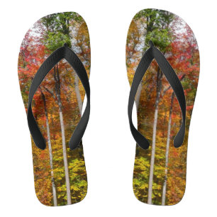 Fall in the Forest Colourful Autumn Photography Jandals