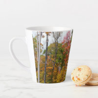 Fall in the Forest Colourful Autumn Photography