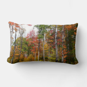 Fall in the Forest Colourful Autumn Photography Lumbar Cushion