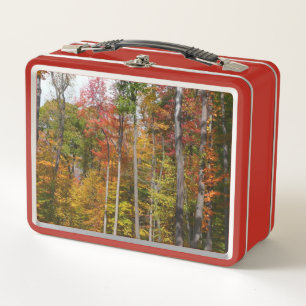 Fall in the Forest Colourful Autumn Photography Metal Lunch Box
