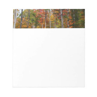 Fall in the Forest Colourful Autumn Photography Notepad