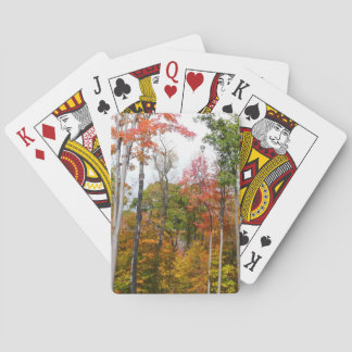 Fall in the Forest Colourful Autumn Photography Playing Cards