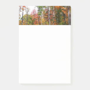 Fall in the Forest Colourful Autumn Photography Post-it Notes