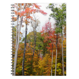 Fall in the Forest Colourful Autumn Photography Spiral Notebook