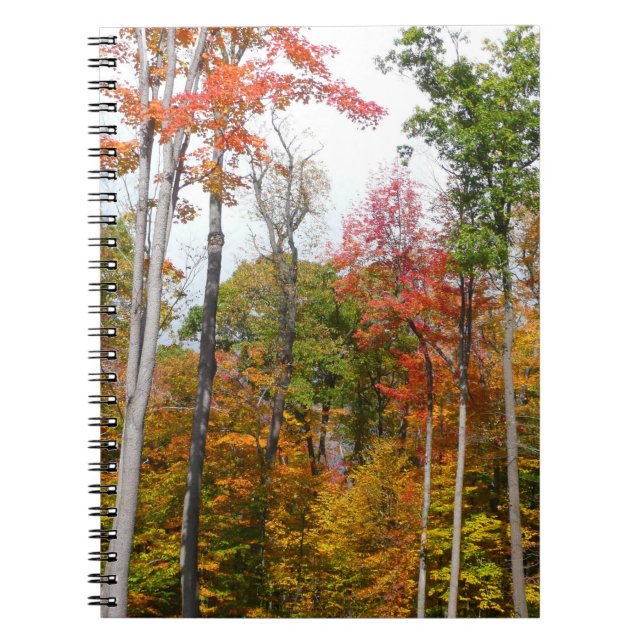 Fall in the Forest Colourful Autumn Photography Spiral Notebook (Front)
