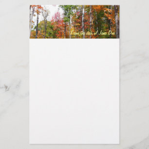 Fall in the Forest Colourful Autumn Photography Stationery