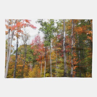 Fall in the Forest Colourful Autumn Photography Tea Towel