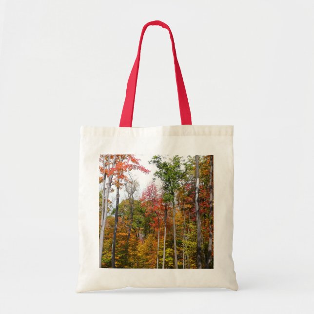 Fall in the Forest Colourful Autumn Photography Tote Bag (Front)