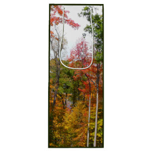 Fall in the Forest Colourful Autumn Photography Wine Gift Bag