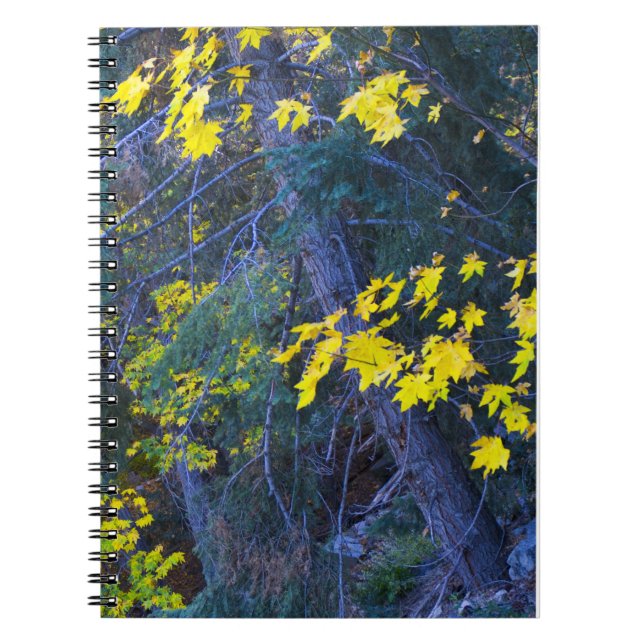 Fall in the Mountains 6 Spiral Notebook (Front)