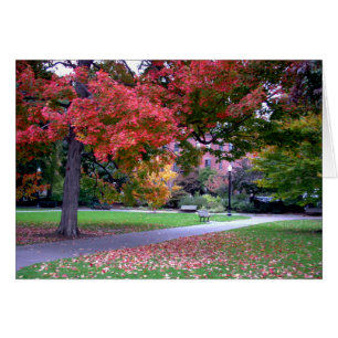Fall in the Public Garden
