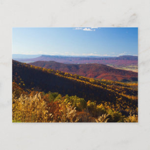 Fall in the Shenandoah Valley, Virginia Postcard