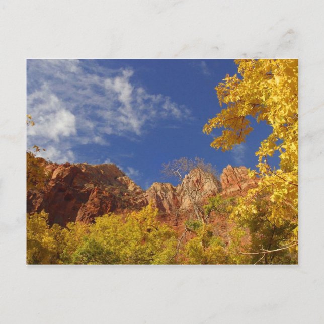 Fall In Zion Postcard (Front)