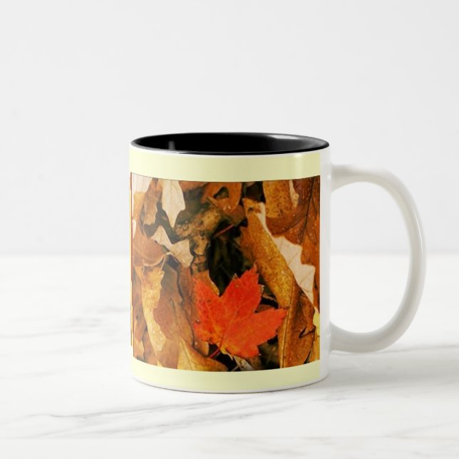 Fall into Autumn Leaves Mug (Right)