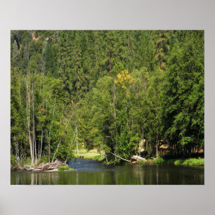 Fall is coming .... poster
