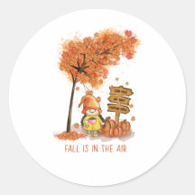 Fall is in the air