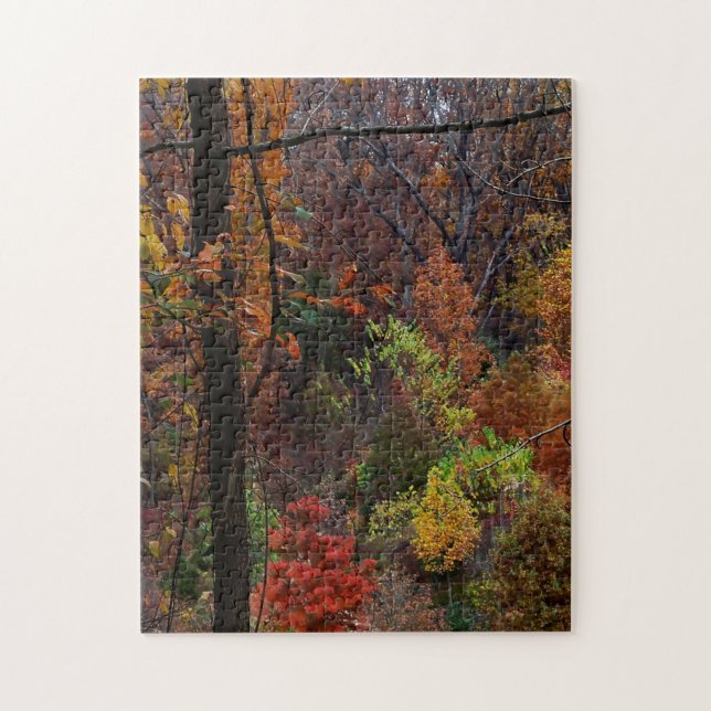 Fall Landscape in Arkansas Jigsaw Puzzel Jigsaw Puzzle (Vertical)