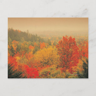 Fall landscape, New Hampshire, USA Postcard