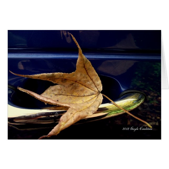 Fall leaf (Front Horizontal)