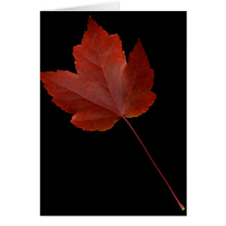 Fall Leaf