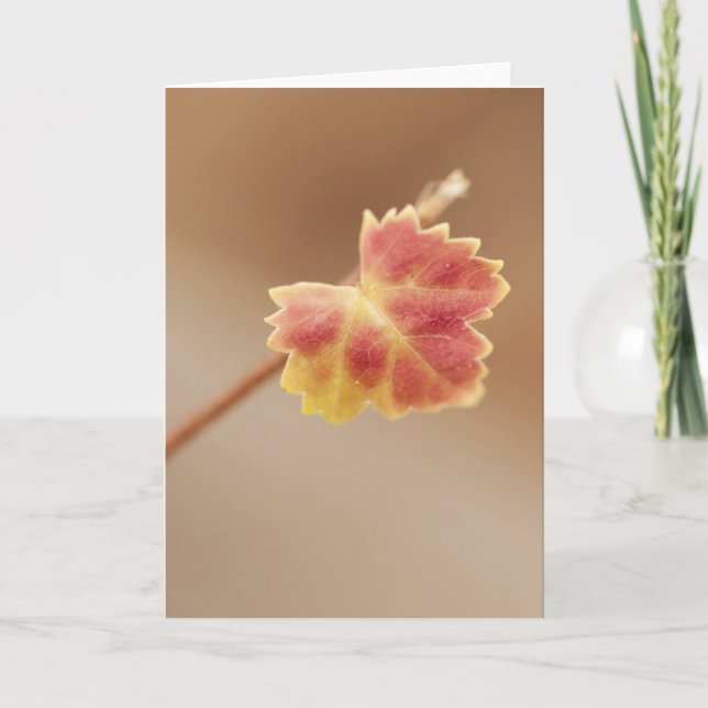 Fall Leaf Card (Front)