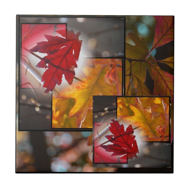 Fall Leaf Collage Small Tile (Front)