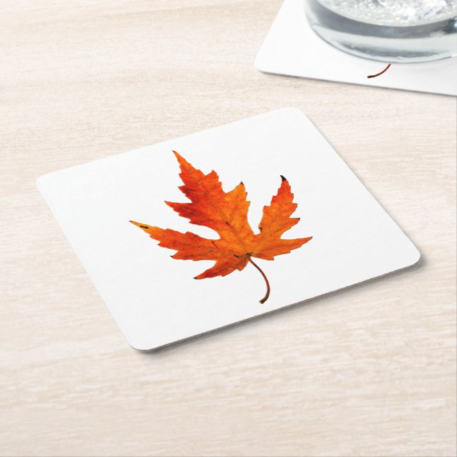 Fall Leaf - Fall Colour - Coaster (Angled)