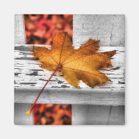 Fall Leaf Magnet