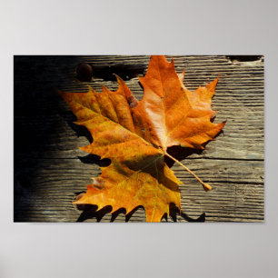Fall Leaf Poster